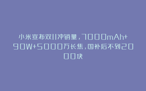 小米宣布双11冲销量,7000mAh+90W+5000万长焦,国补后不到2000块