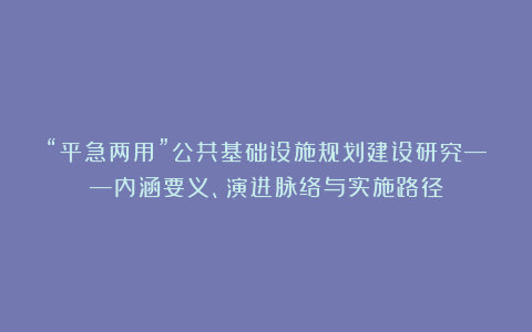 “平急两用”公共基础设施规划建设研究——内涵要义、演进脉络与实施路径