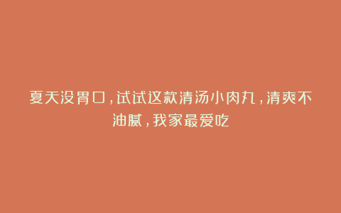 夏天没胃口,试试这款清汤小肉丸,清爽不油腻,我家最爱吃