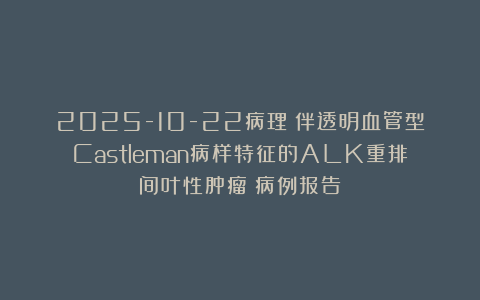 2025-10-22病理:伴透明血管型Castleman病样特征的ALK重排间叶性肿瘤:病例报告