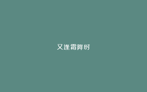 又逢霜降时