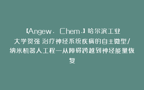 【Angew. Chem.】哈尔滨工业大学贺强:治疗神经系统疾病的自主微型/纳米机器人工程—从障碍跨越到神经能量恢复