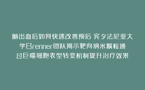 脑出血后如何快速改善预后?宾夕法尼亚大学Brenner团队揭示靶向纳米颗粒通过巨噬细胞表型转变机制提升治疗效果