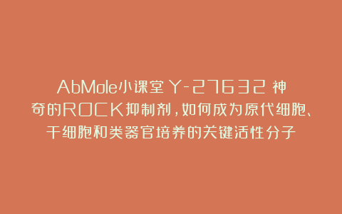 AbMole小课堂丨Y-27632:神奇的ROCK抑制剂,如何成为原代细胞、干细胞和类器官培养的关键活性分子?