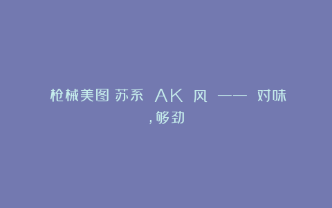 《枪械美图》苏系 AK 风 —— 对味，够劲！