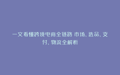 一文看懂跨境电商全链路:市场、选品、支付、物流全解析