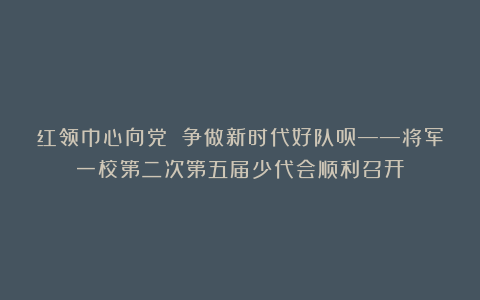 红领巾心向党 争做新时代好队员——将军一校第二次第五届少代会顺利召开