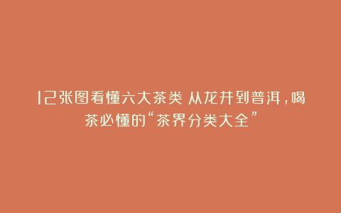 12张图看懂六大茶类!从龙井到普洱,喝茶必懂的“茶界分类大全”