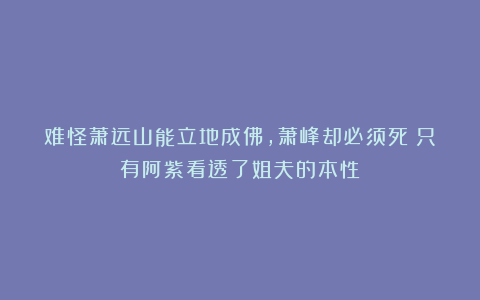 难怪萧远山能立地成佛,萧峰却必须死?只有阿紫看透了姐夫的本性