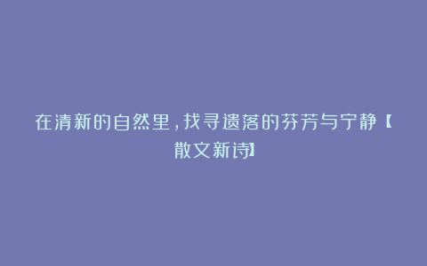 在清新的自然里,找寻遗落的芬芳与宁静【散文新诗】