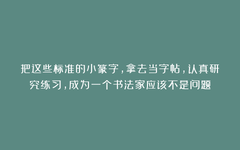 把这些标准的小篆字，拿去当字帖，认真研究练习，成为一个书法家应该不是问题