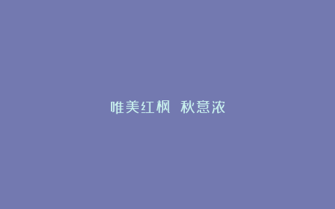 唯美红枫 秋意浓