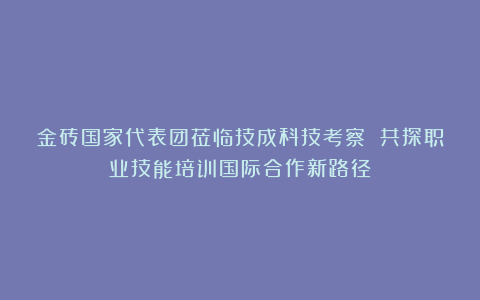 金砖国家代表团莅临技成科技考察 共探职业技能培训国际合作新路径