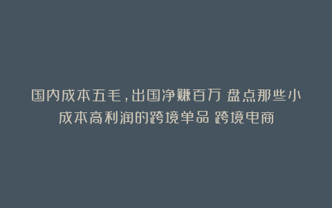 国内成本五毛,出国净赚百万!盘点那些小成本高利润的跨境单品|跨境电商