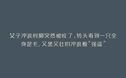 女子冲浪时脚突然被咬了，转头看到一只全身是毛、又黑又壮的冲浪板“强盗”