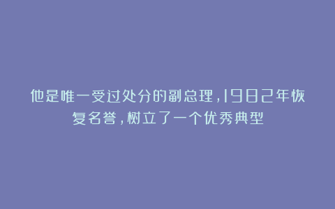 他是唯一受过处分的副总理，1982年恢复名誉，树立了一个优秀典型