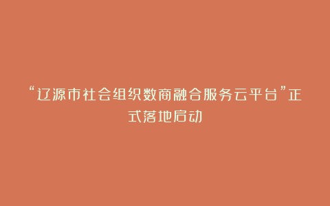 “辽源市社会组织数商融合服务云平台”正式落地启动