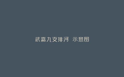 武嘉九支排河 示意图