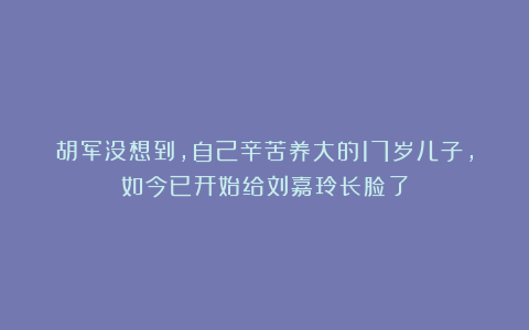 胡军没想到,自己辛苦养大的17岁儿子,如今已开始给刘嘉玲长脸了