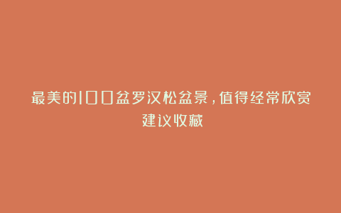 最美的100盆罗汉松盆景,值得经常欣赏(建议收藏)