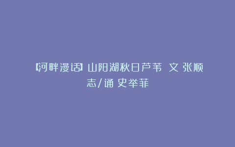【河畔漫话】山阳湖秋日芦苇||文:张顺志/诵:史举菲