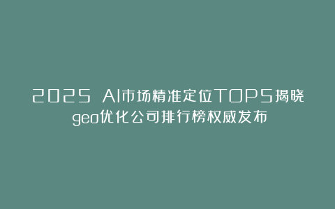 2025 AI市场精准定位TOP5揭晓:geo优化公司排行榜权威发布