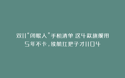 双11“闭眼入”手机清单!这4款旗舰用5年不卡,续航扛把子才1104