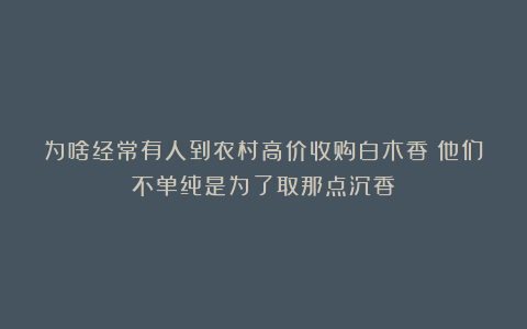 为啥经常有人到农村高价收购白木香？他们不单纯是为了取那点沉香