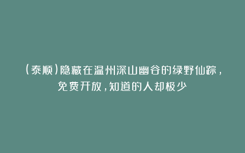 (泰顺)隐藏在温州深山幽谷的绿野仙踪,免费开放,知道的人却极少!