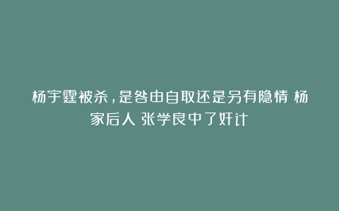 杨宇霆被杀,是咎由自取还是另有隐情?杨家后人:张学良中了奸计