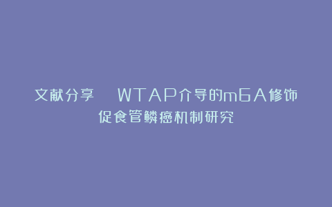文献分享 | WTAP介导的m6A修饰促食管鳞癌机制研究