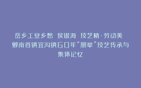 岳乡工业乡愁 侯银海 技艺精·劳动美 邺南首镇宜沟镇60年“朋辈”技艺传承与集体记忆