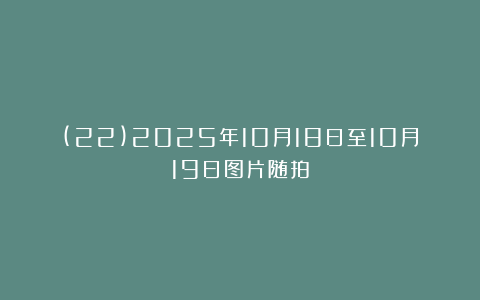 (22)2025年10月18日至10月19日图片随拍