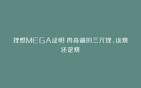 理想MEGA证明:再高端的三元锂,该烧还是烧
