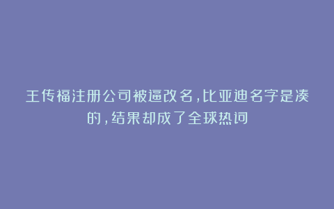 王传福注册公司被逼改名,比亚迪名字是凑的,结果却成了全球热词