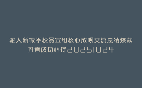 驼人新城学校品宣组核心成员交流总结爆款抖音成功心得20251024