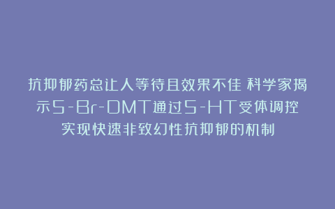 抗抑郁药总让人等待且效果不佳?科学家揭示5-Br-DMT通过5-HT受体调控实现快速非致幻性抗抑郁的机制