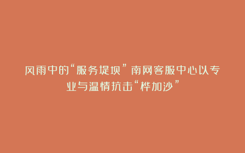 风雨中的“服务堤坝”:南网客服中心以专业与温情抗击“桦加沙”