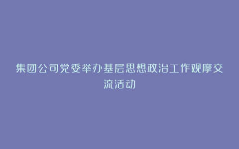 集团公司党委举办基层思想政治工作观摩交流活动