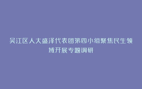 吴江区人大盛泽代表团第四小组聚焦民生领域开展专题调研