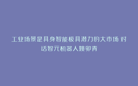 工业场景是具身智能极具潜力的大市场?对话智元机器人姚卯青