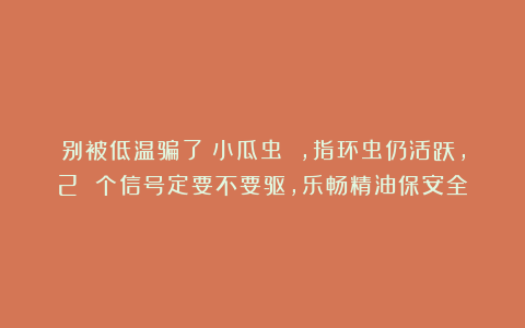 别被低温骗了!小瓜虫 ,指环虫仍活跃,2 个信号定要不要驱,乐畅精油保安全