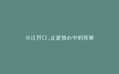 小江开口，正是我心中的答案