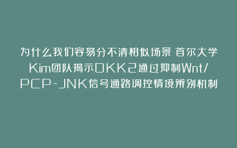 为什么我们容易分不清相似场景?首尔大学Kim团队揭示DKK2通过抑制Wnt/PCP-JNK信号通路调控情境辨别机制