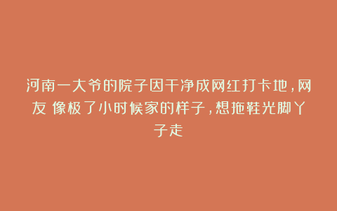 河南一大爷的院子因干净成网红打卡地,网友:像极了小时候家的样子,想拖鞋光脚丫子走