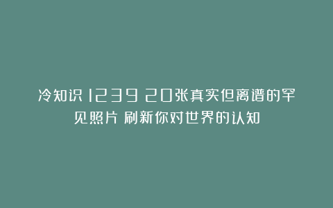 冷知识(1239)20张真实但离谱的罕见照片:刷新你对世界的认知