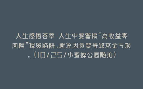 人生感悟荟萃:《人生中要警惕“高收益零风险”投资陷阱,避免因贪婪导致本金亏损。》(10/25/小蜜蜂公园随拍)