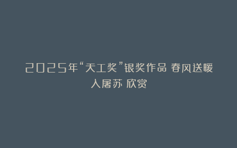 2025年“天工奖”银奖作品《春风送暖入屠苏》欣赏