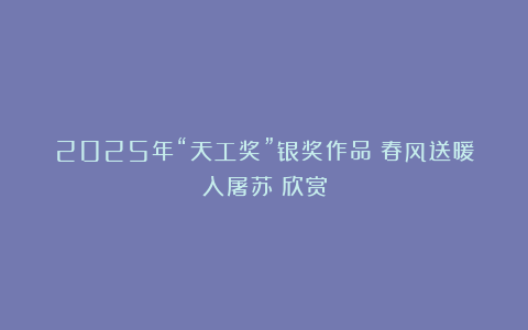 2025年“天工奖”银奖作品《春风送暖入屠苏》欣赏
