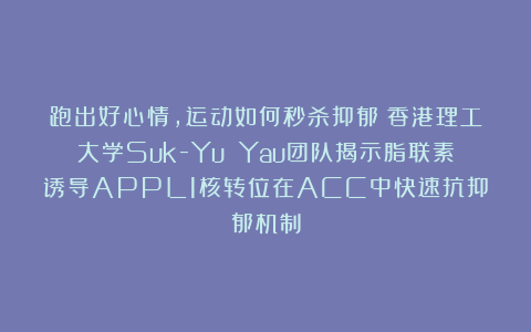跑出好心情,运动如何秒杀抑郁?香港理工大学Suk-Yu Yau团队揭示脂联素诱导APPL1核转位在ACC中快速抗抑郁机制